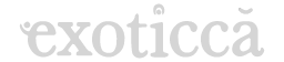 Exoticca